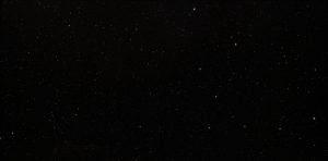 gala_black_or